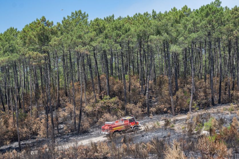 FRANCE - GIRONDE - ENVIRONNEMENT - WILDFIRE Lutte contre les incendies en Gironde : défis et implications