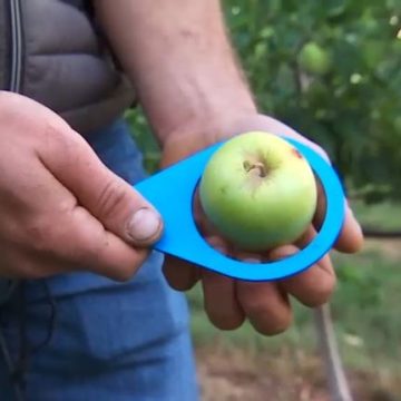8baf5c5b-589b-4f90-b331-4d9ee9d75dfc Les fruits et légumes moins esthétiques trouvent leur place en supermarché