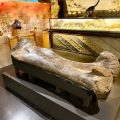 Fossiles de dinosaures et enjeux autour du site d’Angeac-Charente