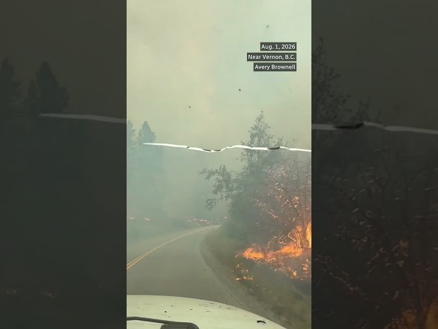9158dc78-1909-46ff-8518-8e9a31e5b8a9 Évacuations massives en Colombie-Britannique à cause d’un incendie