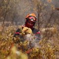Les épreuves physiques pour les pompiers professionnels