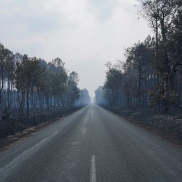 Climat en Gironde : l&rsquo;après-incendie et les questions qui préoccupent