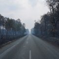 Enquête sur les Incendies en Gironde