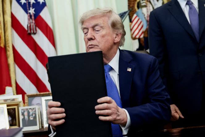 a19f000a-db2b-41db-9652-a1cc82762866 Donald Trump contre le « tourisme des naissances »