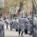 Les Activistes Argentins Contre la Technologie