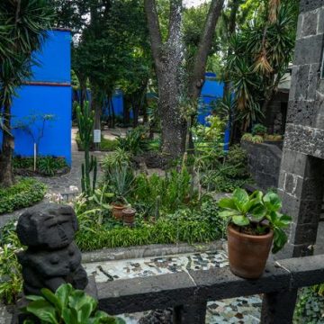 La Casa Azul de Frida Kahlo : Un Jardin d&rsquo;Espèces Endémiques