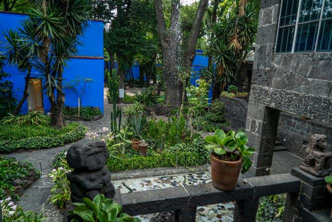 a8f381a5-5d83-4d3f-b35f-cfd36ce64a76 La Casa Azul de Frida Kahlo : Un Jardin d’Espèces Endémiques