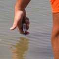 Les températures record des eaux françaises inquiètent