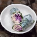 Les algues, un trésor culinaire et nutritionnel méconnu