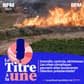 Incendie, canicule, sécheresse: les crises climatiques peuvent-elles bouleverser l&rsquo;élection présidentielle?
