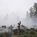Feu de forêt maîtrisé mais situation complexe en Belgique