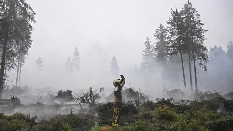b6c83330-8a09-47dc-b4ee-dae888900aa4 Feu de forêt maîtrisé mais situation complexe en Belgique