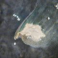 Fuite de pétrole au large d&rsquo;Oman : une menace écologique