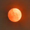 Le Cycle Solaire: Un Phénomène Magique et Essentiel