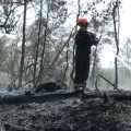 Nouvelle alerte aux incendies dans le Var : les pompiers en état d&rsquo;alerte