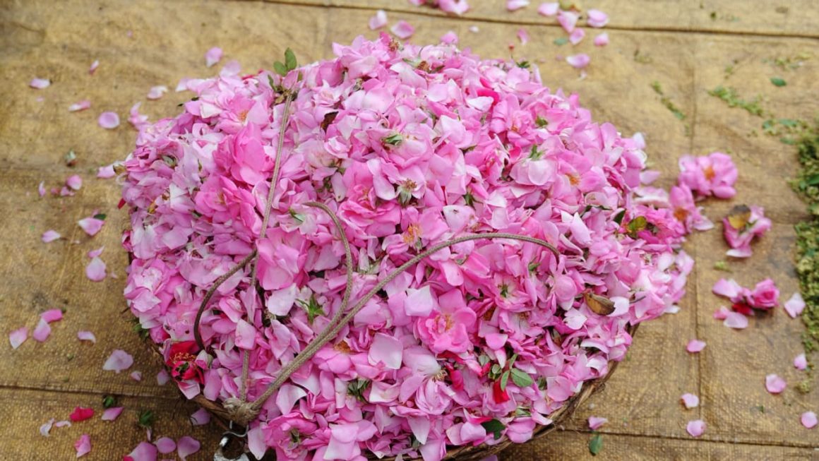 L&rsquo;Inde s&rsquo;impose dans la parfumerie de niche