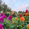 L&rsquo;influence du jardin d&rsquo;Emil Nolde sur son œuvre