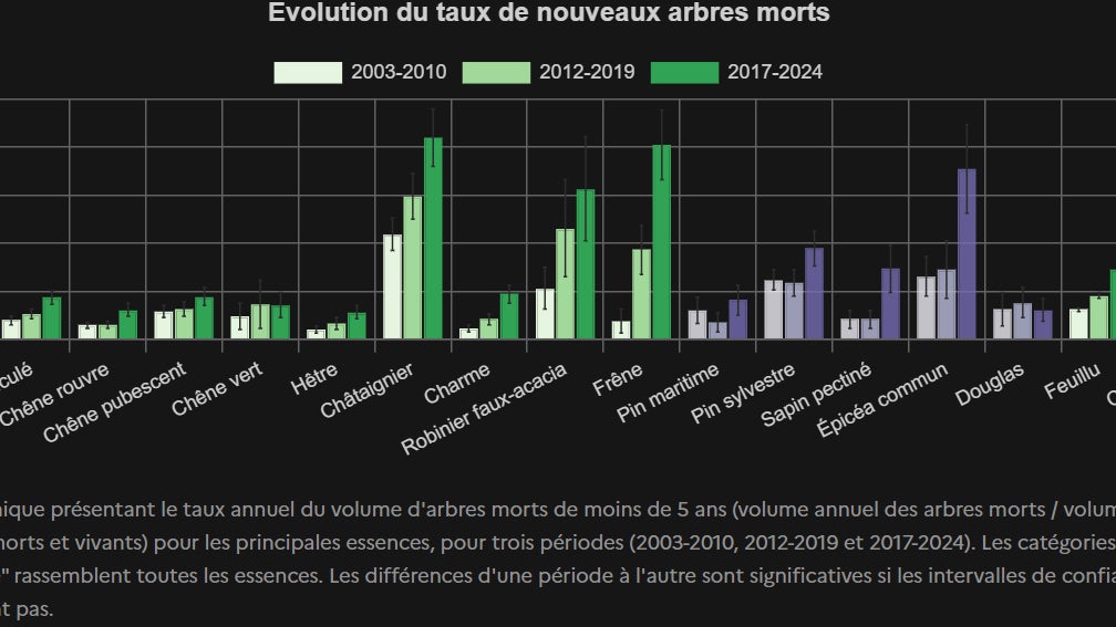 cc42391c-c96b-43b6-b70d-89dfe7569d62 La mortalité des arbres en France : une crise silencieuse