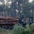 Polémique autour de la création d&rsquo;un pare-feu illégal lors du mégafeu en Gironde