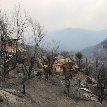 La France offre son aide à l&rsquo;Algérie face aux incendies dévastateurs