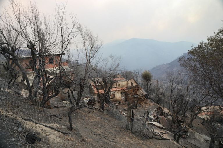 ALGERIA-FIRE-CLIMATE La France offre son aide à l’Algérie face aux incendies dévastateurs