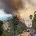 Incendies en Espagne: Actions des Autorités et Confinement