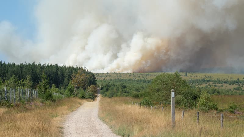 d48dedc6-98b9-4950-8534-9def5f4517e3 Un incendie majeur force des évacuations en Belgique