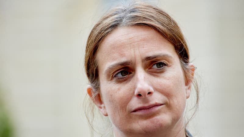 d5f28cfa-a2e8-4a38-9406-e8f5d2718608 Les Verts et la Tentation de s’Allier à LFI