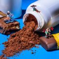 Augmentation de la Consommation de Protéines chez les Jeunes Français