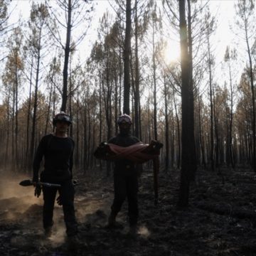 dbd6c5c9-2030-4f66-b07b-909556fea45f Situation complexe des incendies en Gironde et dans le Var