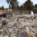 Incendies en Europe : état des lieux et actions mises en œuvre