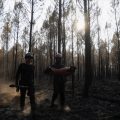 Les incendies en Gironde et dans le Var : état des lieux