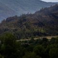Incendies dans la Drôme : Une lutte acharnée contre les flammes