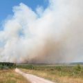 Incendies en Belgique et en France : Un bilan alarmant