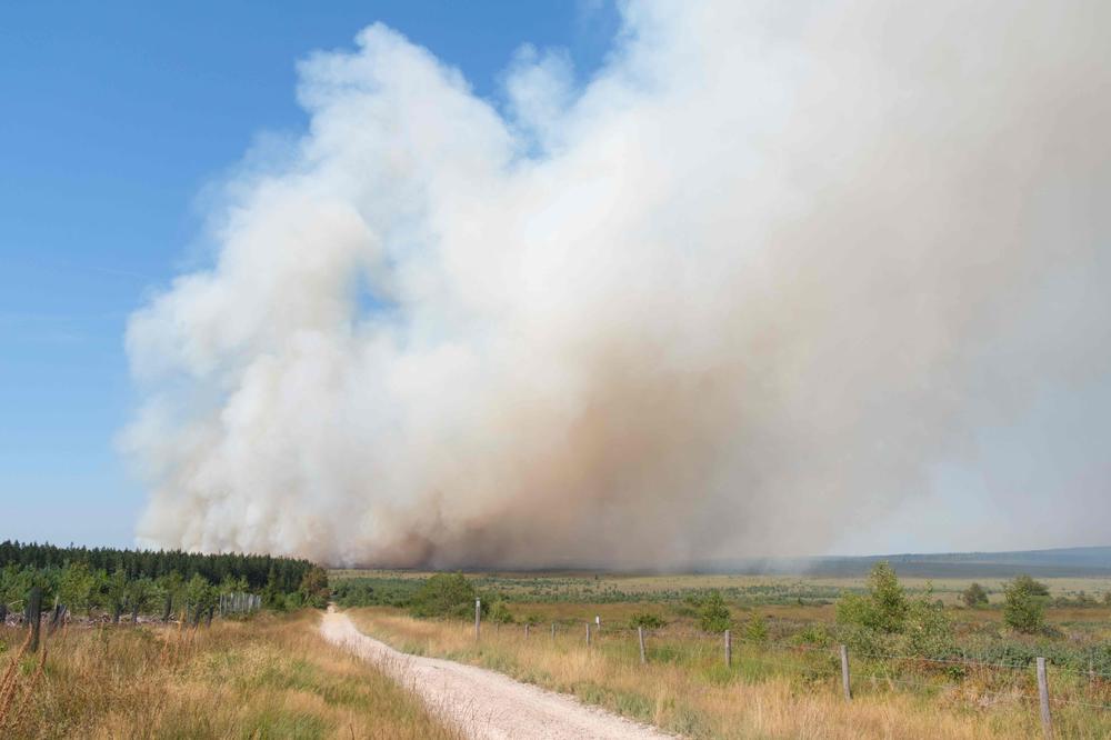 e1945870-dc6b-4e4f-9310-9538127cdd48 Incendies en Belgique et en France : Un bilan alarmant