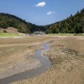 Canicule, sécheresse et impacts environnementaux en France et en Europe
