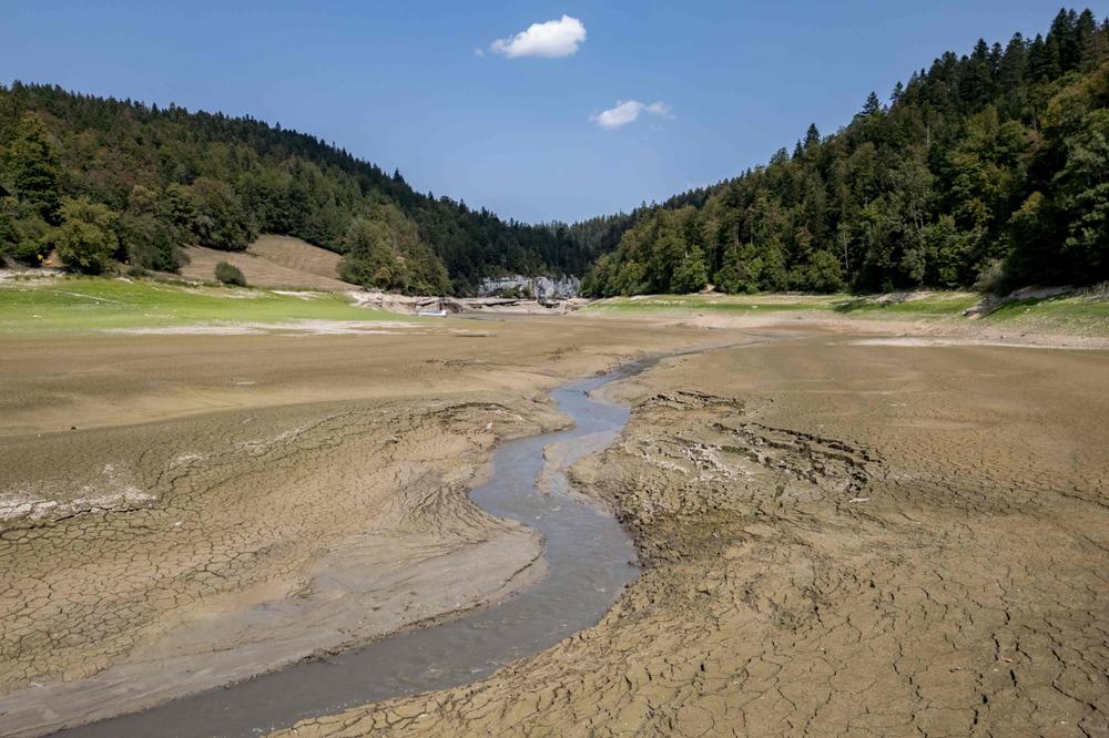 e275750d-714e-4274-a3b6-5d1a57fb336b Canicule, sécheresse et impacts environnementaux en France et en Europe