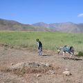 Impact de l&rsquo;extraction minière sur les communautés en Afghanistan