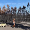 Incendies et vigilance : Situation critique dans le sud de la France
