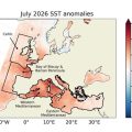 Record de chaleur marine en Europe : Impact sur les écosystèmes et la météo