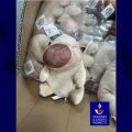 Saisie Importante de Jouets Non Conformes par la Douane des Bouches-du-Rhône