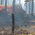 Des Incendies Ravageurs : La Situation dans la Drôme et Ailleurs