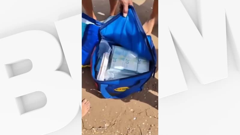 f396682f-bd6b-4898-b29b-7d618b39c41c Découverte d’un Trésor en Sicile : 650 000 Euros Échouent sur la Plage