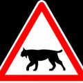 Installation de panneaux pour protéger le lynx dans le Jura