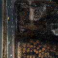 Le gouvernement face aux défis de la reconstruction après le mégafeu en Gironde