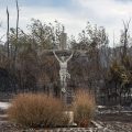 Entretien avec le jésuite Xavier de Bénazé sur les incendies en France