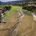 Vigilance pour la Canicule et Feux de Forêt