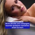 Hayden Panettiere : Engagement pour la cause animale révélé par PETA