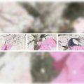 Un hommage artistique à Isao Takahata à la Cité internationale de la tapisserie d&rsquo;Aubusson
