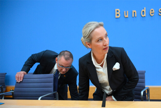 114cccdb-1087-4834-b010-13525b6ea5ae En Allemagne, l’AfD mène une offensive anti-genre